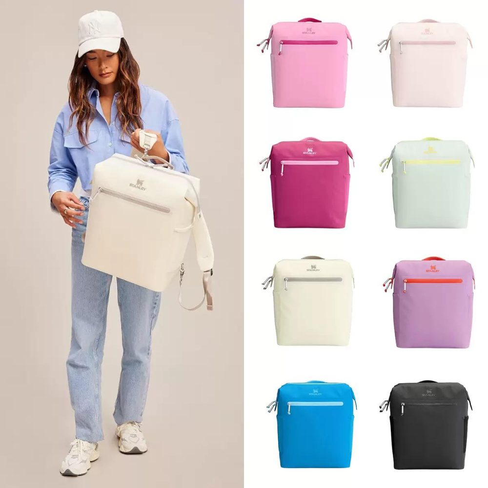 Stanley ice back pack